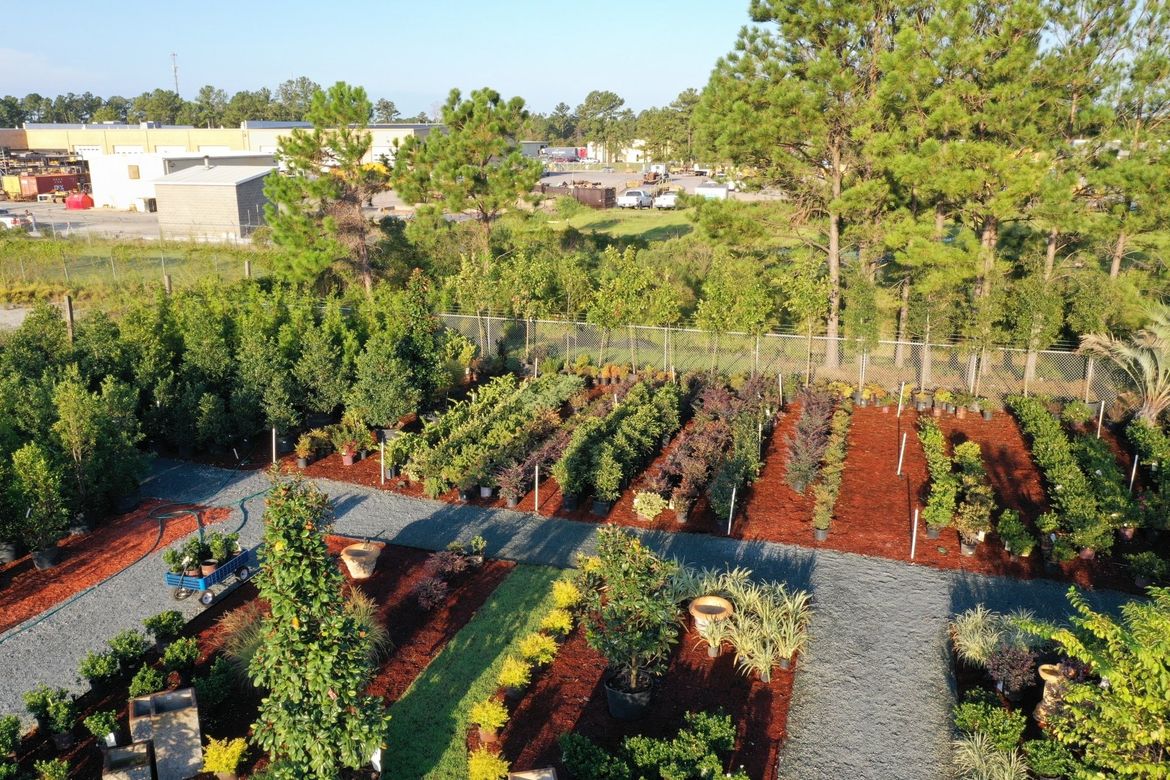 Nursery & Garden Center Wilmington and Leland, NC Bloomin' Crazy