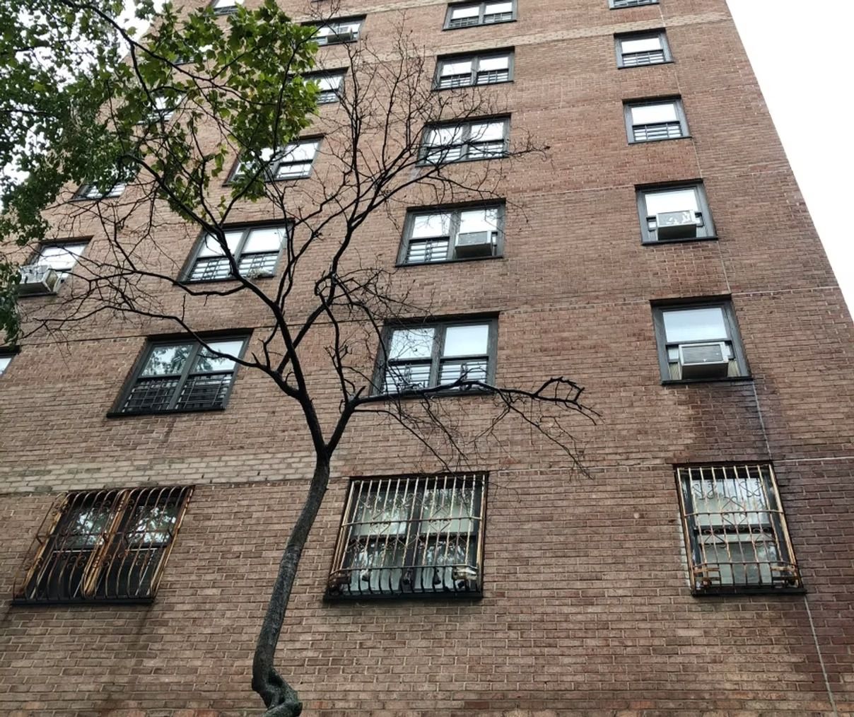 A tall brick building with a tree in front of it