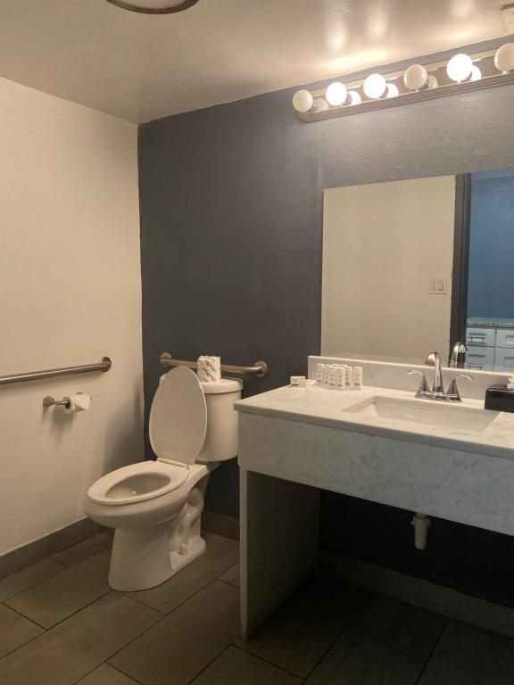 Bathroom with accessible toilet, sink, and grab bars. Gray and white walls, light-colored floor.