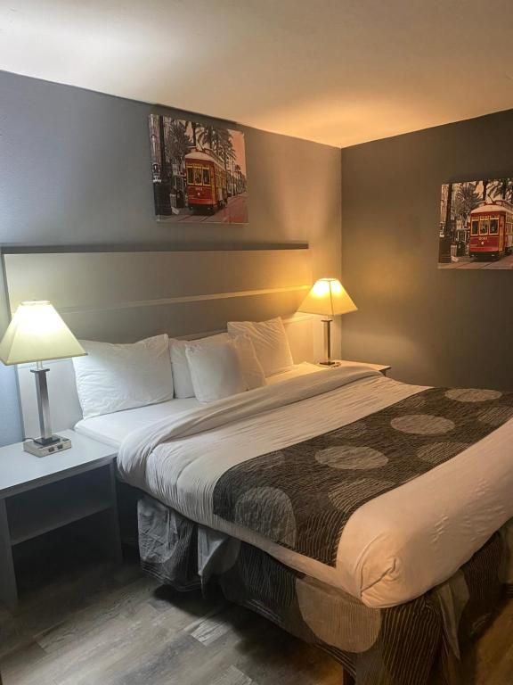 A hotel room with a bed, nightstands with lamps, and artwork. Gray walls and wood-look flooring.