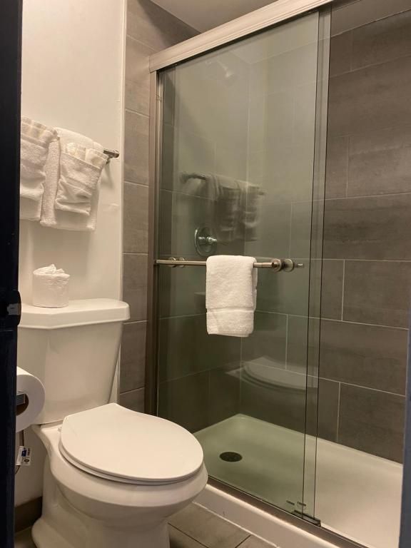 A small bathroom with a toilet and a glass-enclosed shower, featuring gray tile walls.