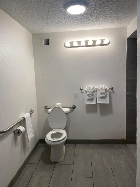 Bathroom with toilet, grab bar, towel rack, and bright overhead lighting. Gray tile floor. White walls.