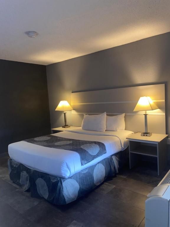 Hotel room with a king-sized bed, two lamps, and bedside tables. Walls are gray.