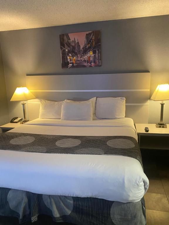 Hotel room with a king-sized bed, lamps on each side, and artwork above the bed.