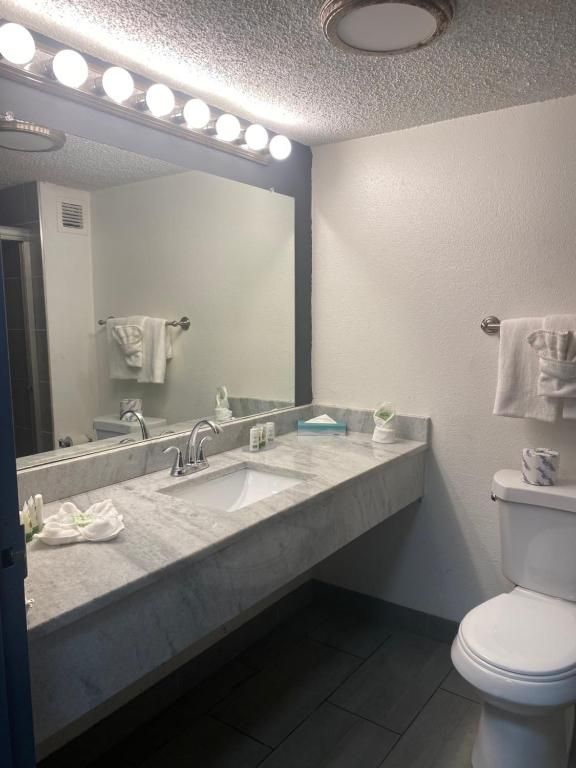 Bathroom with white and gray vanity, large mirror, toilet, and towel rack.