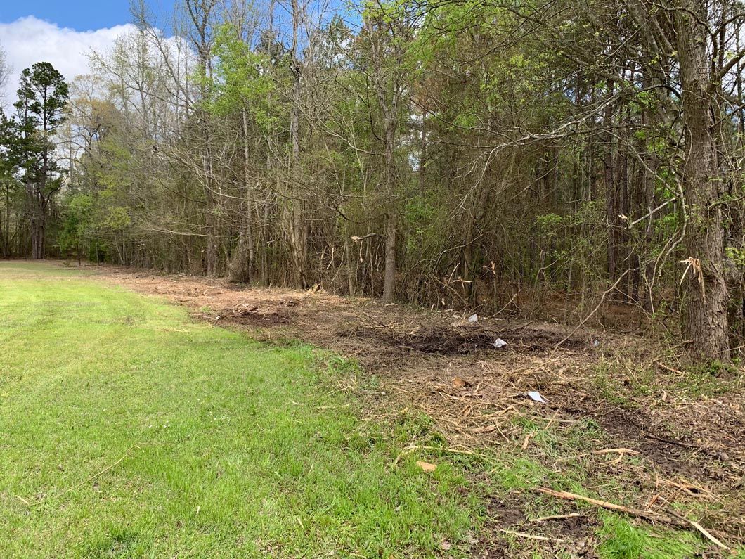 There is a lot of grass and trees in the background.