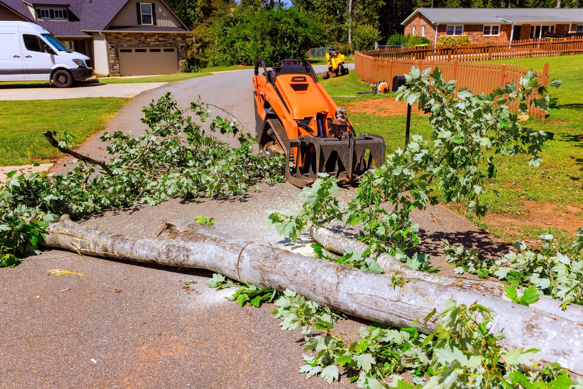 Orange skid steer removing a fallen tree blocking a residential road; green foliage.