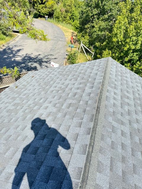 A shadow of a person is cast on the roof of a house.