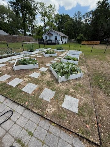 A lush green garden with lots of plants and trees