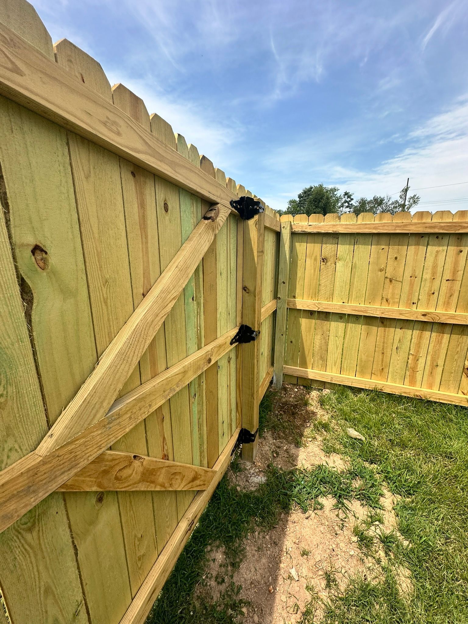 Wooden fence with a gate, green-tinged lumber, blue sky, and grass.