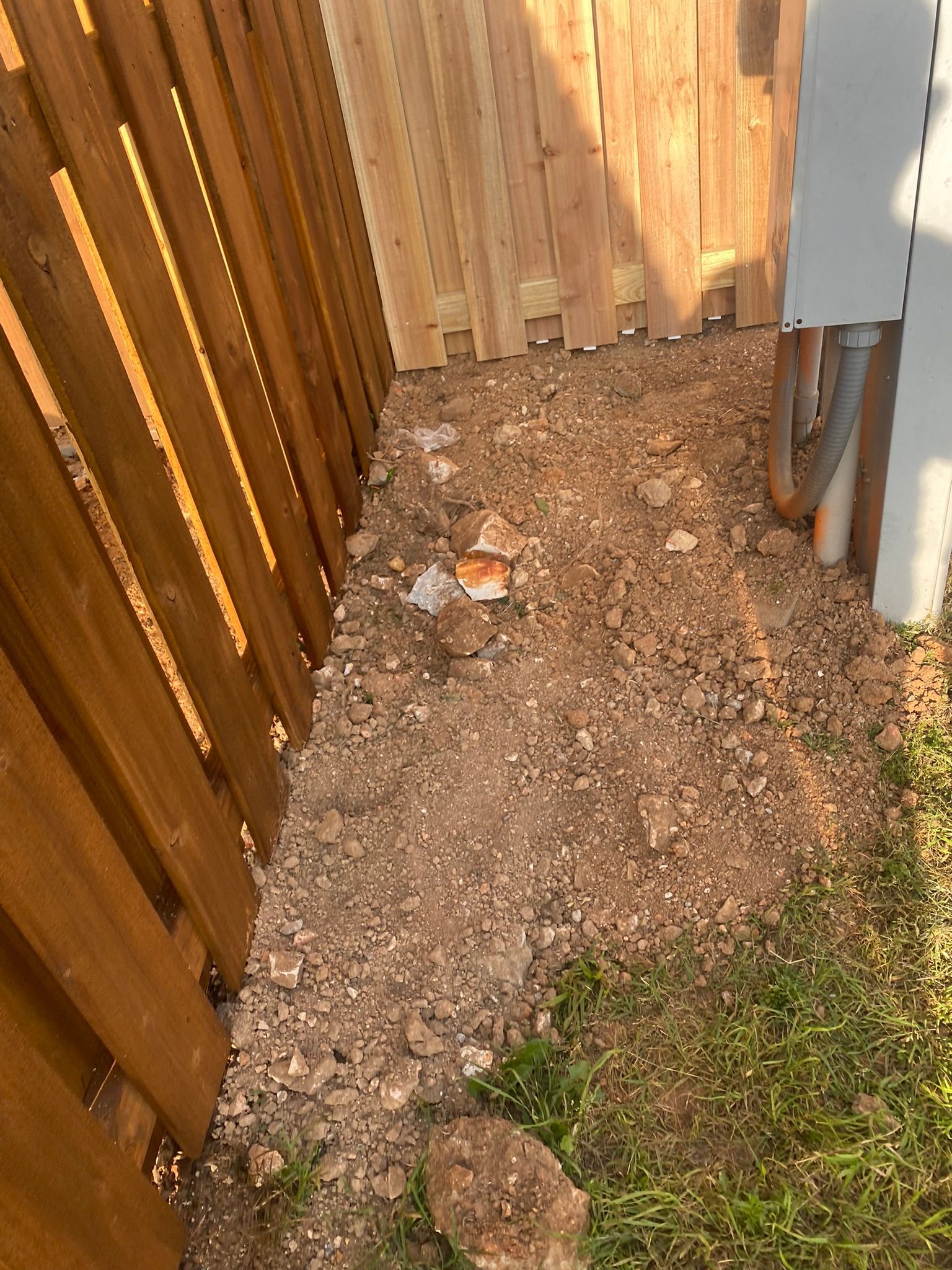 Dirt area next to a wooden fence and electrical box. Sparse grass visible.