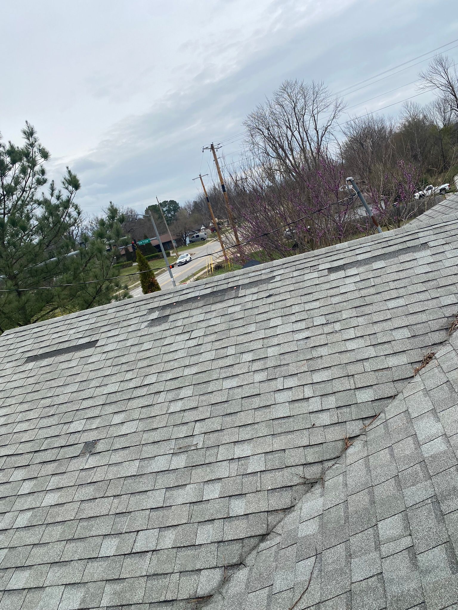 Gray asphalt shingle roof, angled view with overcast sky, street and trees visible in the background.