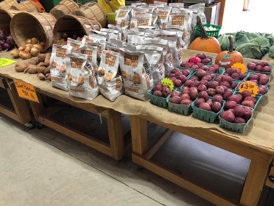 Klingel's Farm, potatoes