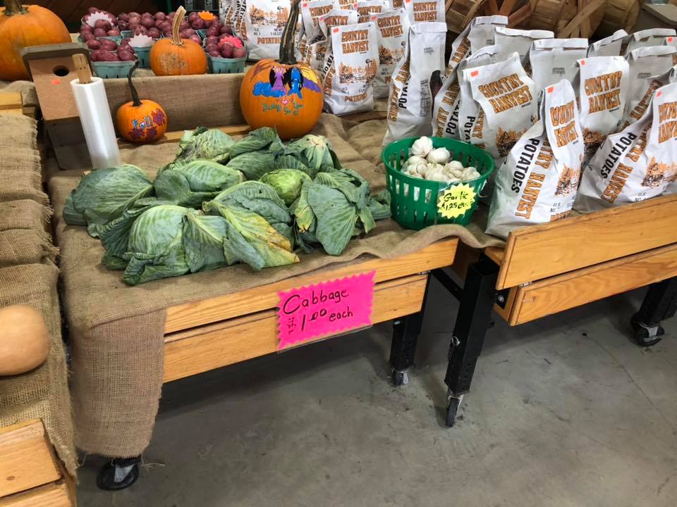 Klingel's Farm, cabbage