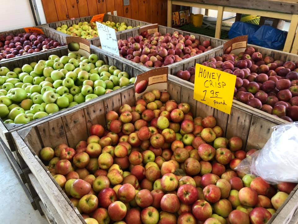 Klingel's Farm, fresh produce, apples