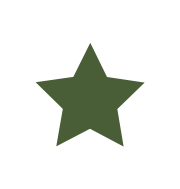 A green star icon on a white background.