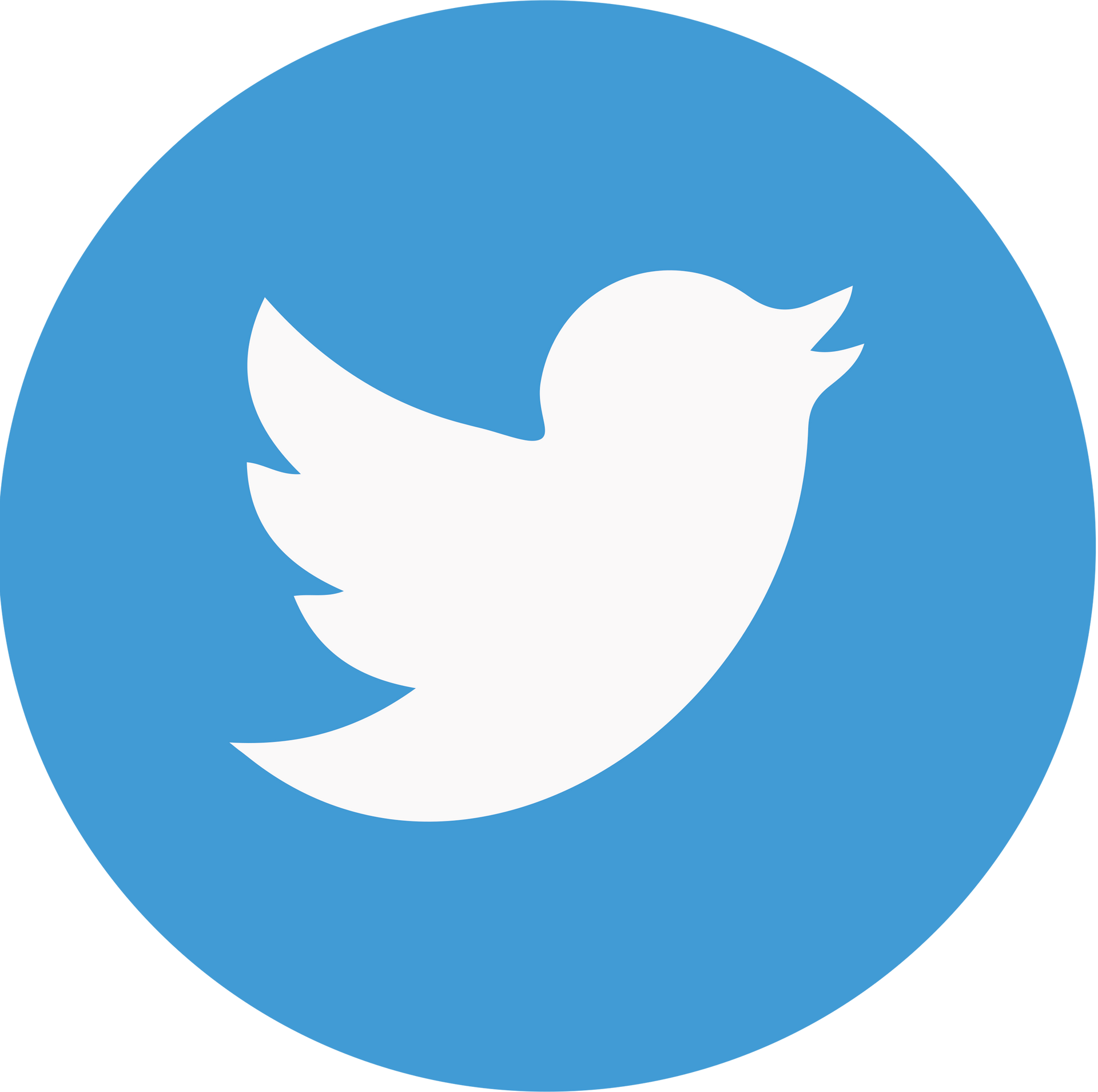 The twitter logo is a white bird in a blue circle.