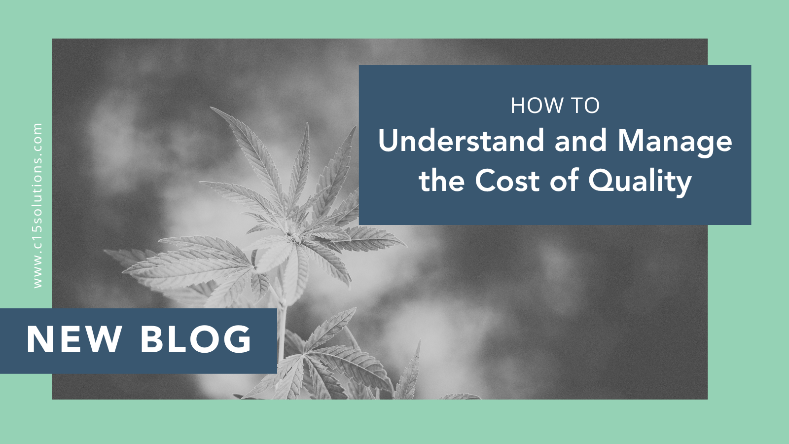 How to Understand and Manage the Cost of Quality