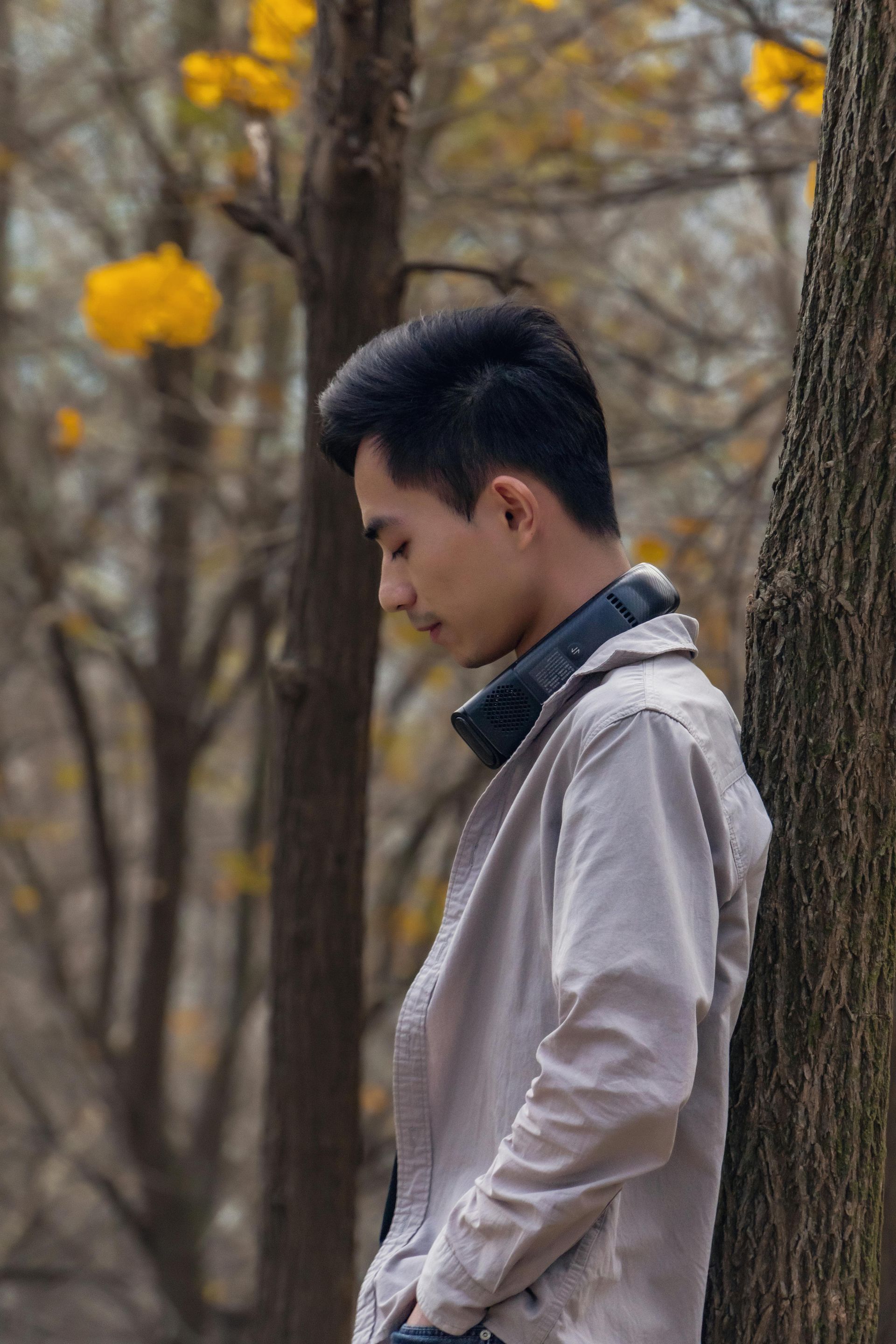 A person with headphones around their neck, leaning against a tree in a forest with yellow flowering branches.