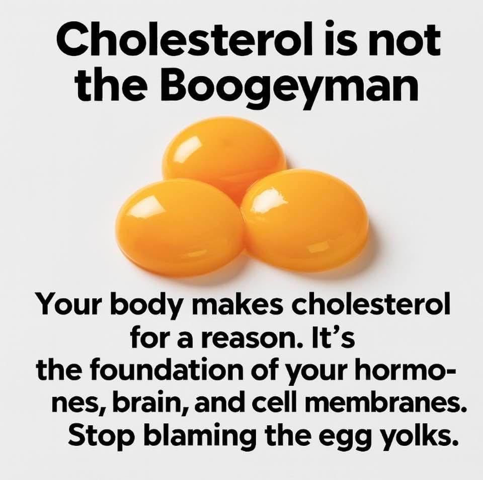 Healthy cholesterol supports hormones, brain health, and cell membranes naturally

