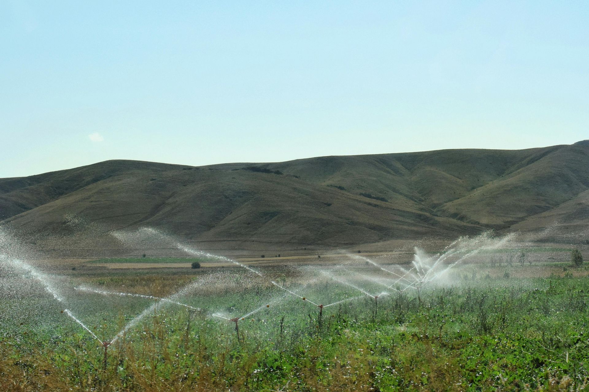 A sprinkler is spraying water on a field with mountains in the background.