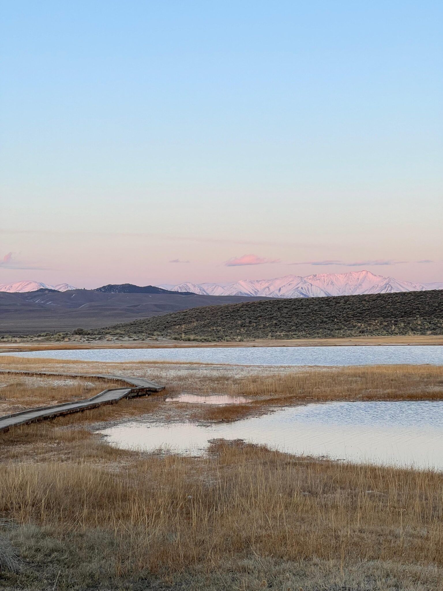 Landscape with still water, dry grass, and distant mountains under a pastel sky.