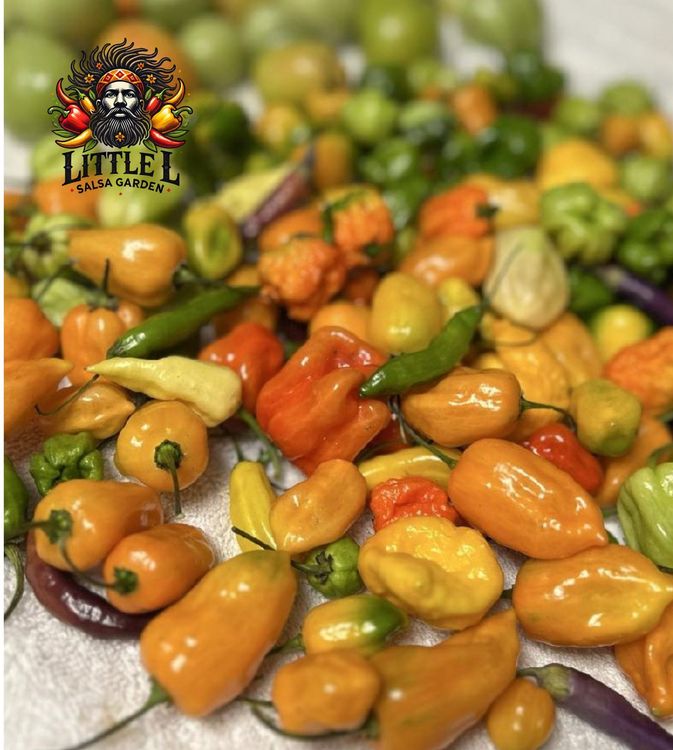 A pile of peppers with the word little l on it