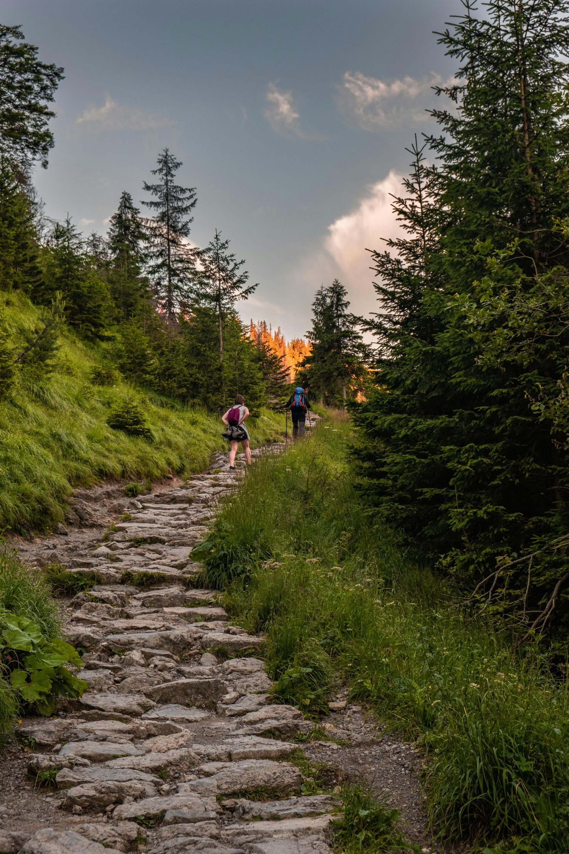 Stone path through a mountain forest, two hikers ascend.