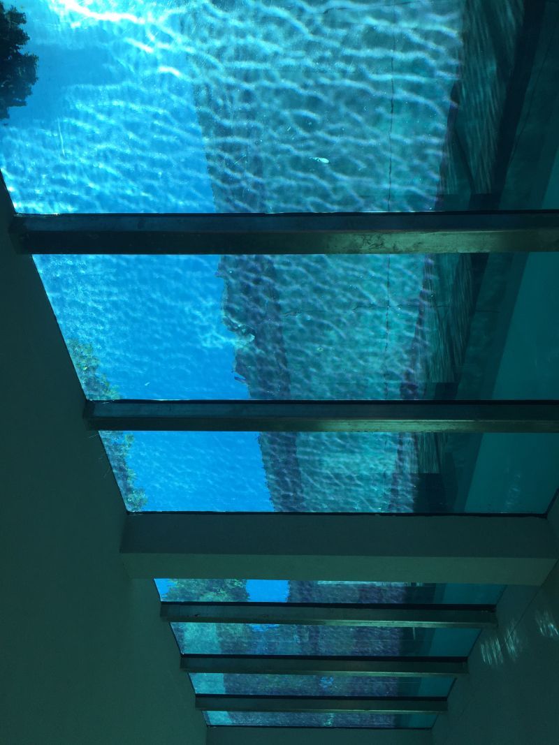glass bottom pool