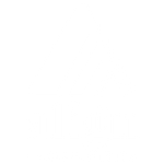 A close-up of a vibrant red rose flower in full bloom, with layered petals and soft green leaves in the background.