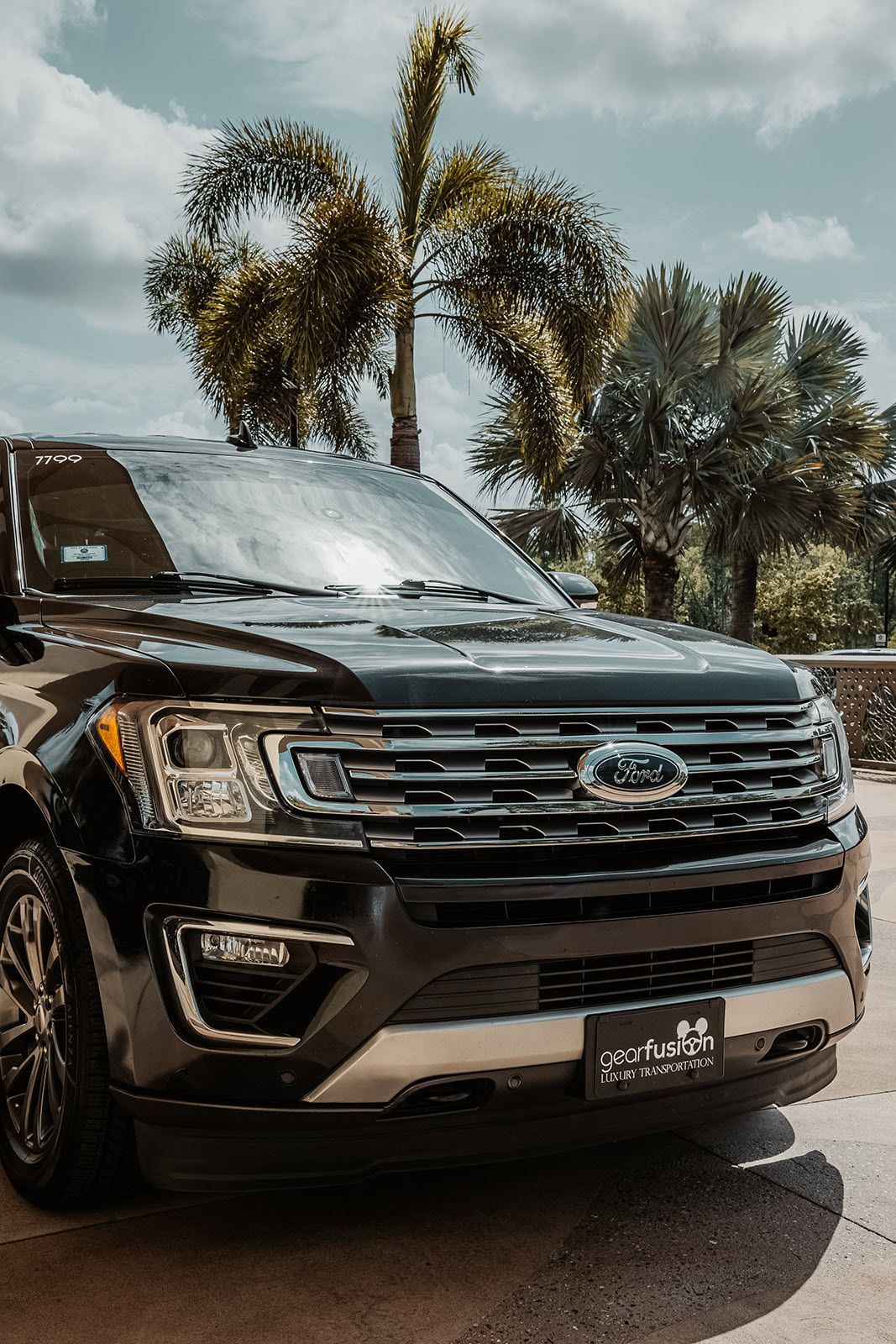 A black ford expedition is parked in front of a palm tree.