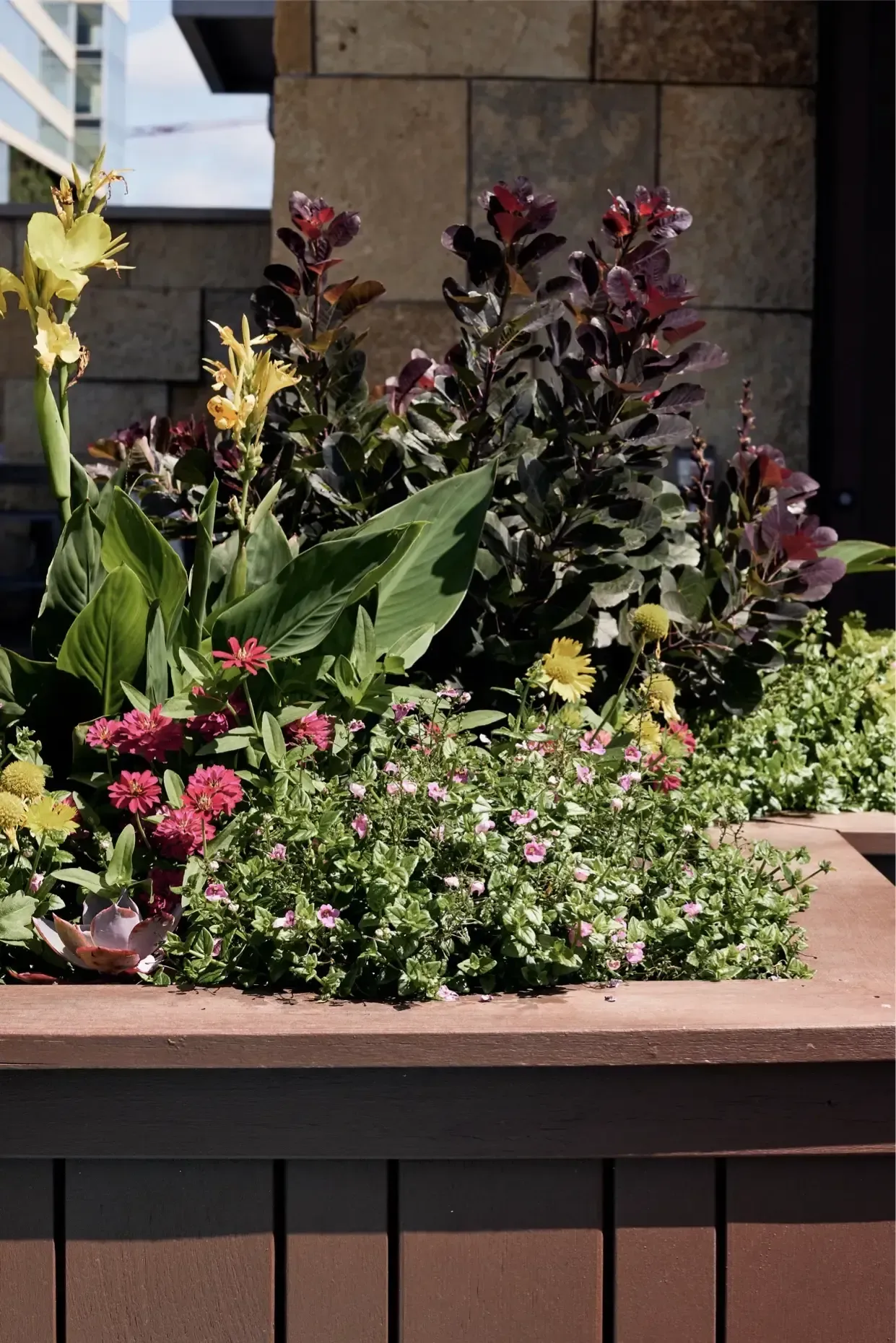 Colorful flower bed and lush plants in front of a building exterior.