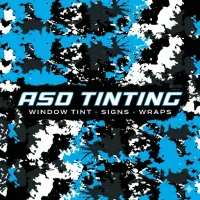 Southside Mobile Detail & Tint - window tinting services.