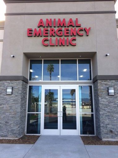 Pet Clinic Near Riverside Ca Animal Emergency Clinic