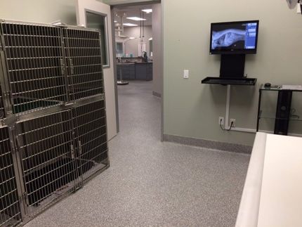 AEC Radiology — Grand Terrace, CA — Animal Emergency Clinic