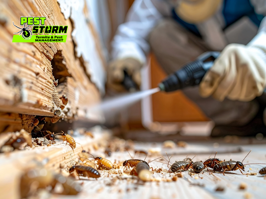 A Pest Control Technician Uses a Spray Tool to Treat a Wooden Structure — Pest Storm In Summerland Point, NSW