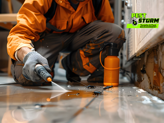 A Professional Uses a Spray Tool to Treat a Floor Area for Cockroaches — Pest Storm In Maitland, NSW