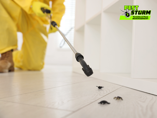 A Person Uses a Spray Wand to Treat Small Insects — Pest Storm In Maitland, NSW