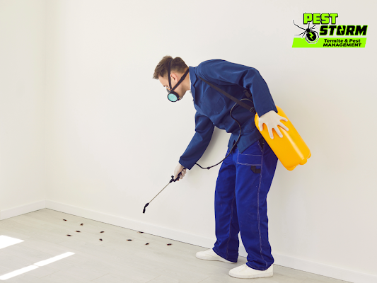 A Pest Control Professional Sprays a Pesticide on a White Wall — Pest Storm In Maitland, NSW