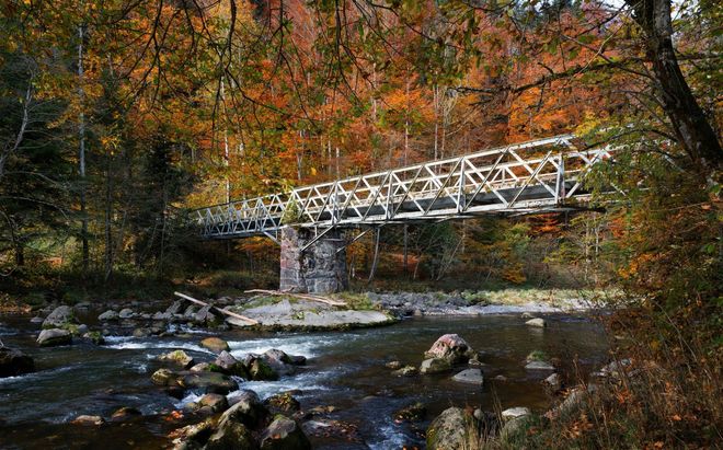 White footbridge over a rocky creek in an autumn forest with orange and red leaves