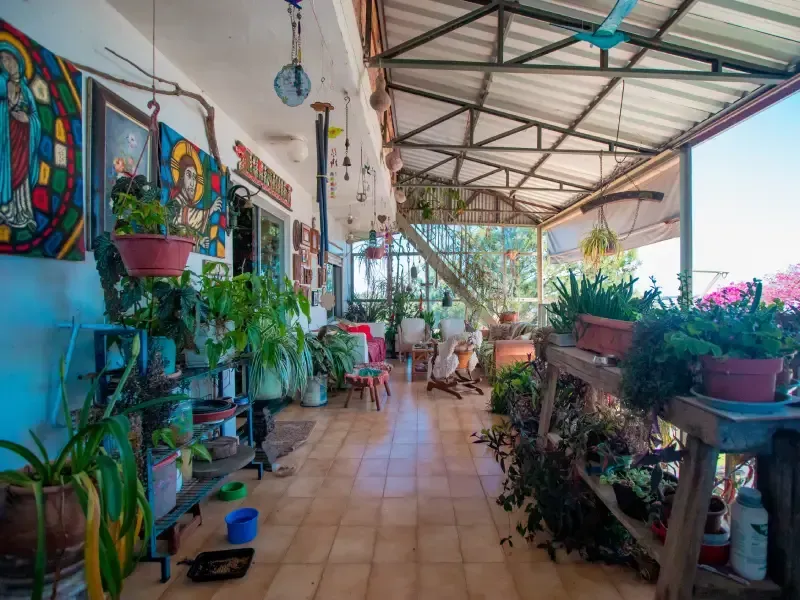 Pátio externo coberto com plantas, obras de arte e piso de azulejo.
