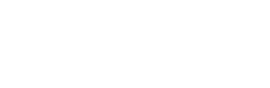 Molina Healthcare