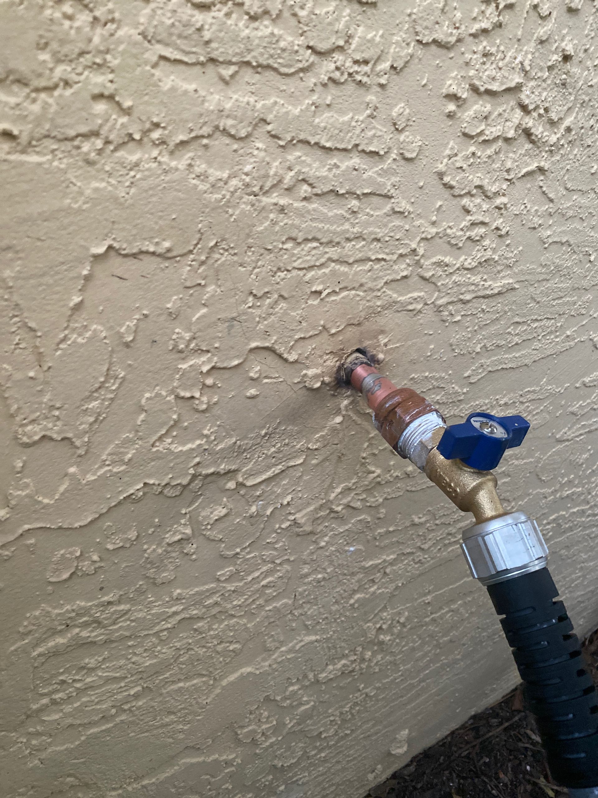 Copper spigot and blue valve on textured beige stucco wall, with a black hose attached.