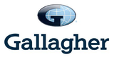 Gallagher Insurance