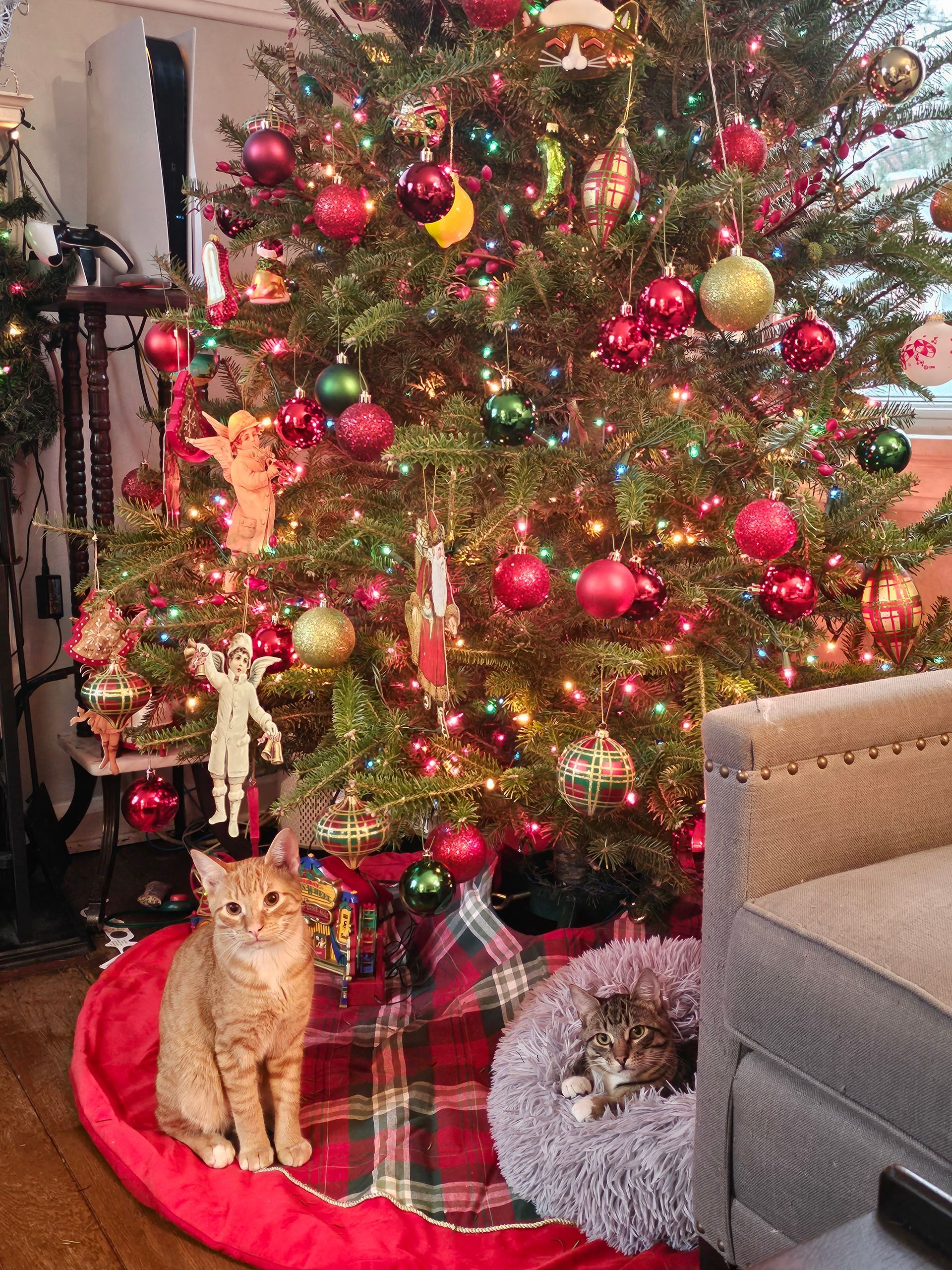 Two cats under a decorated Christmas tree with red and gold ornaments. One cat sits, the other rests in a bed.