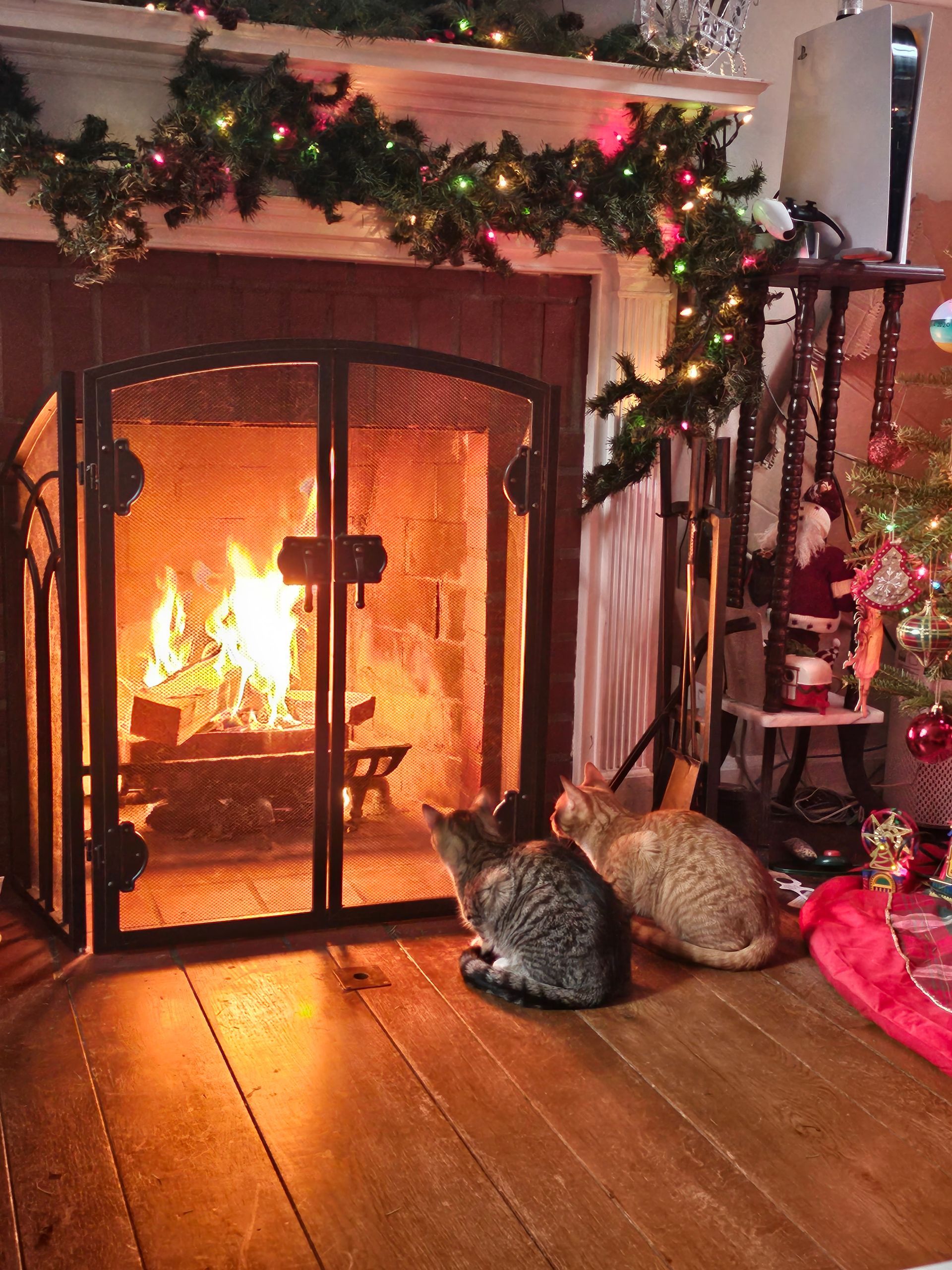 Two cats sit on a wood floor, looking at a burning fireplace, decorated with garland and lights.