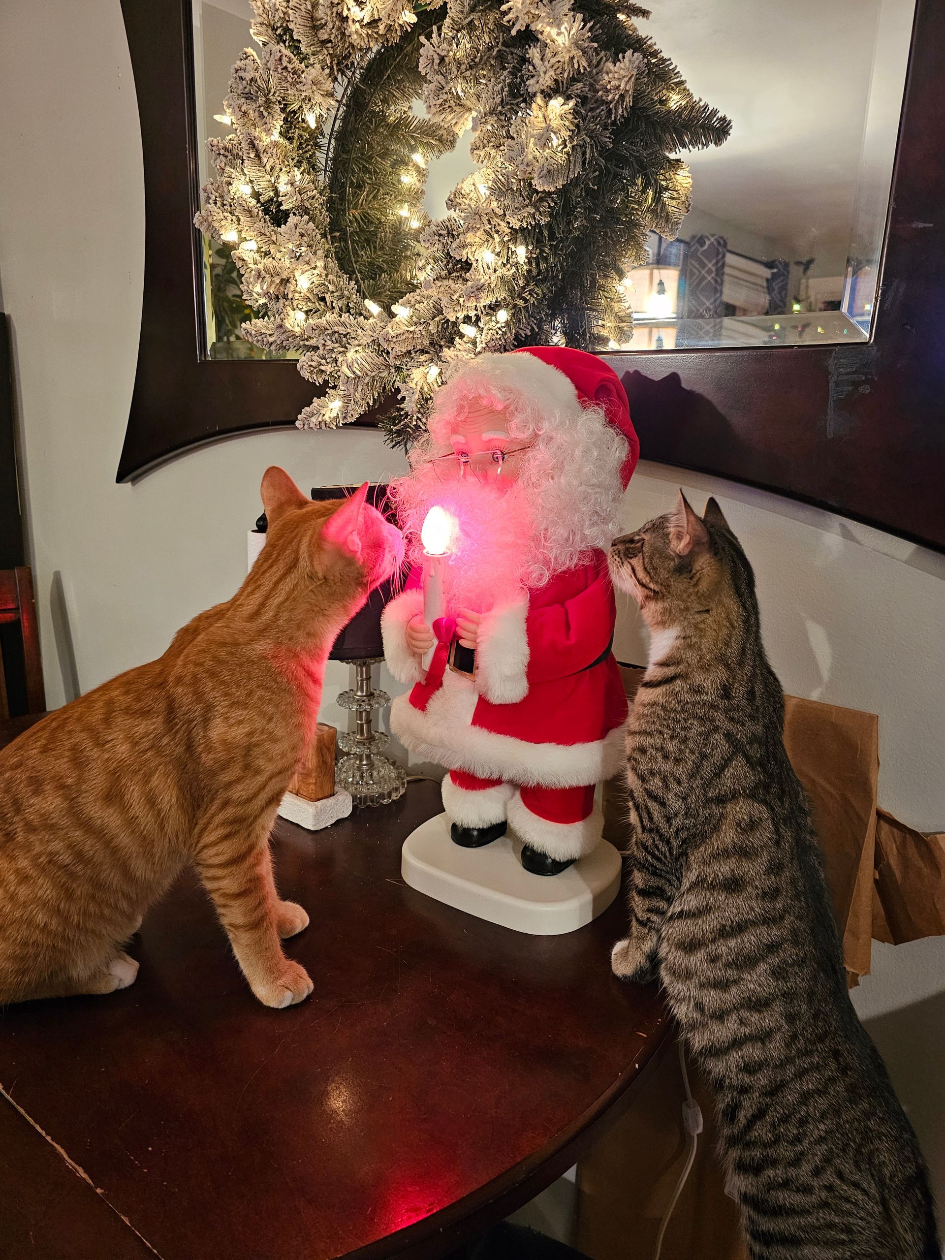 Two cats examine a light-up Santa Claus figurine on a table with a lit wreath in the background.