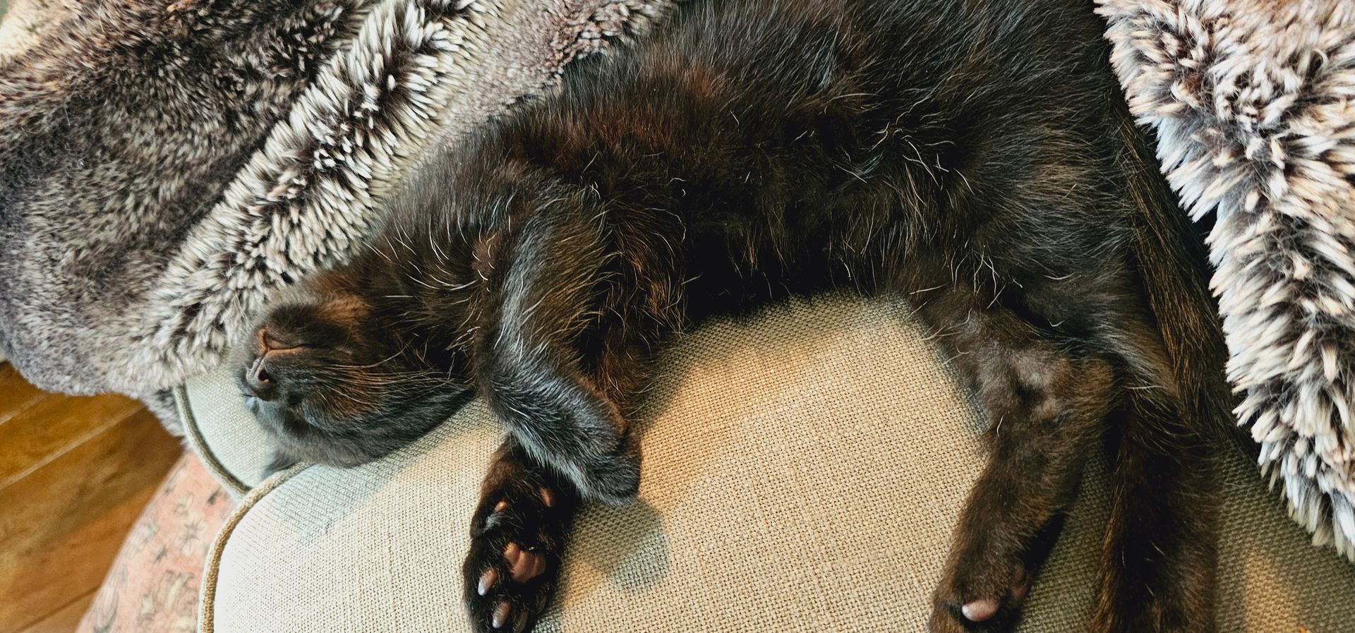 Black cat sprawled on a beige fabric, resting its head on a fluffy blanket.