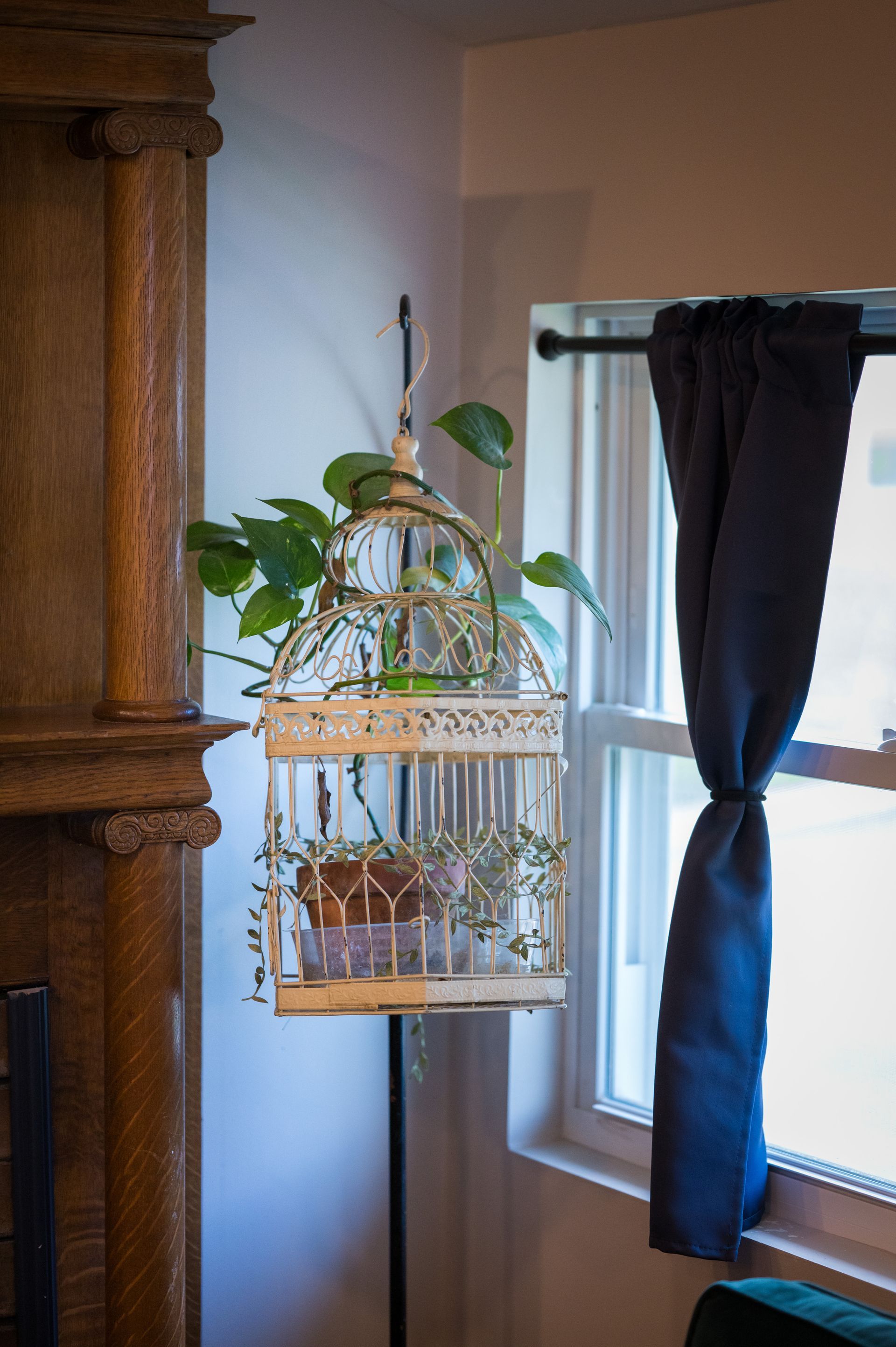Cream birdcage holding a potted plant hangs by a window, next to a wood-paneled wall.