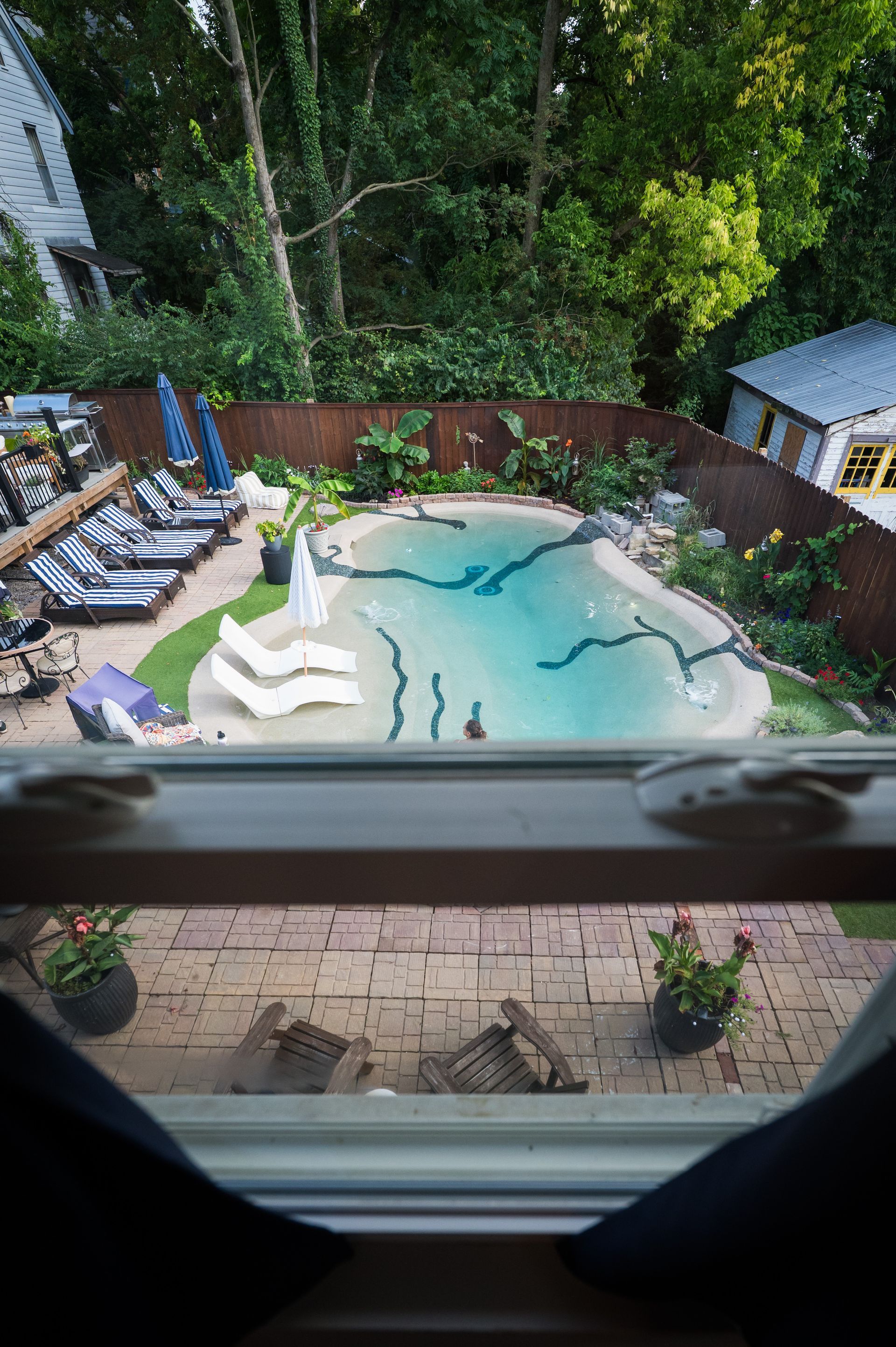 View of a backyard pool, loungers, and greenery, seen through a window.